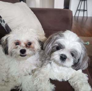 Meet your Posher, Debbie